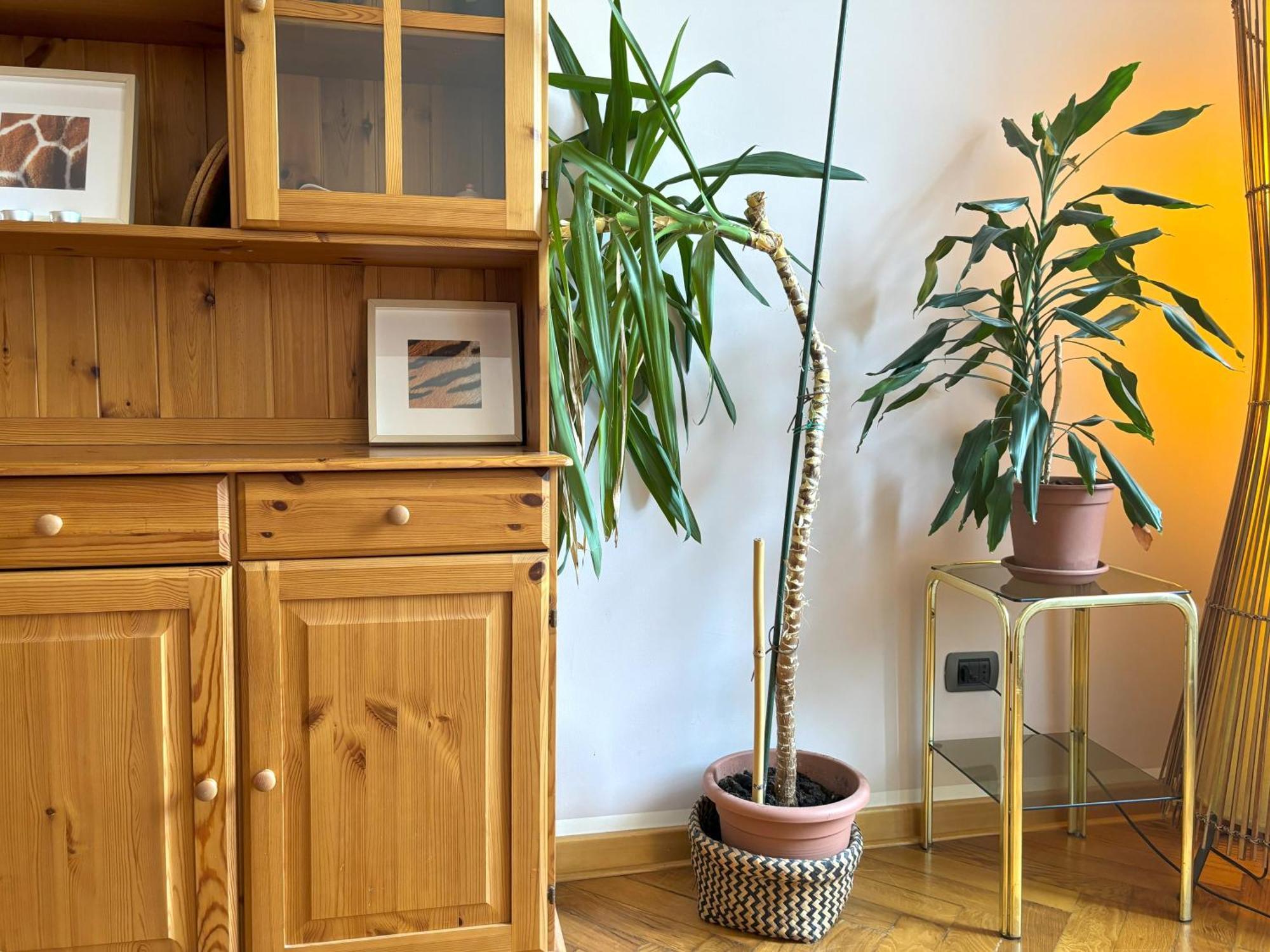 Flat Belpoggio 13 Apartment